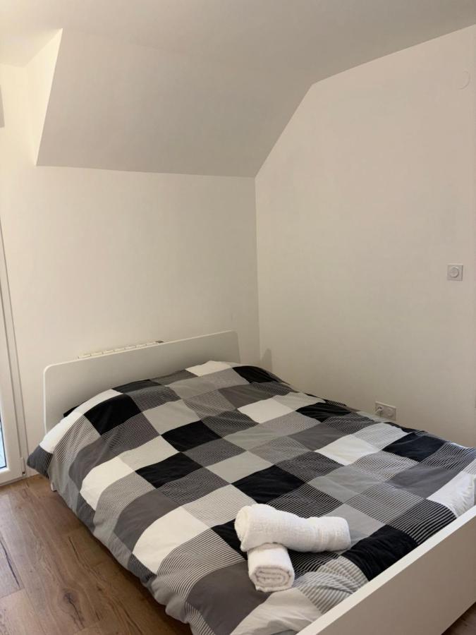 Duplex Neuf Parking Terrasse Lejlighed Mulhouse Eksteriør billede